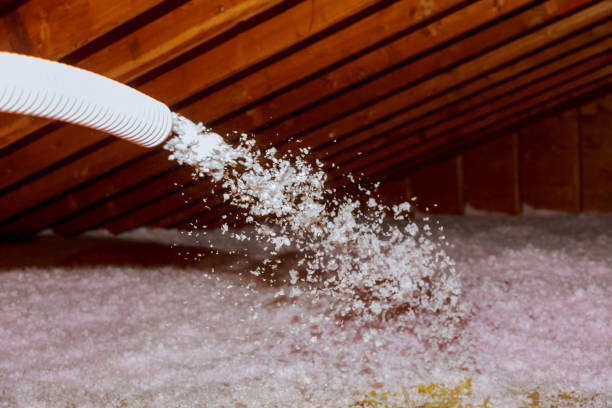 Best Commercial Insulation in Goose Creek Village, VA
