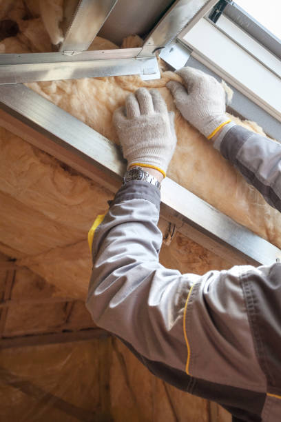 Best Spray Foam Insulation in Goose Creek Village, VA