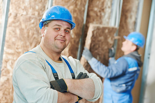 Best Insulation Maintenance and Repair in Goose Creek Village, VA