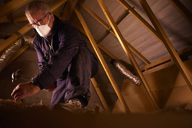 Best Blown-in Insulation in Goose Creek Village, VA