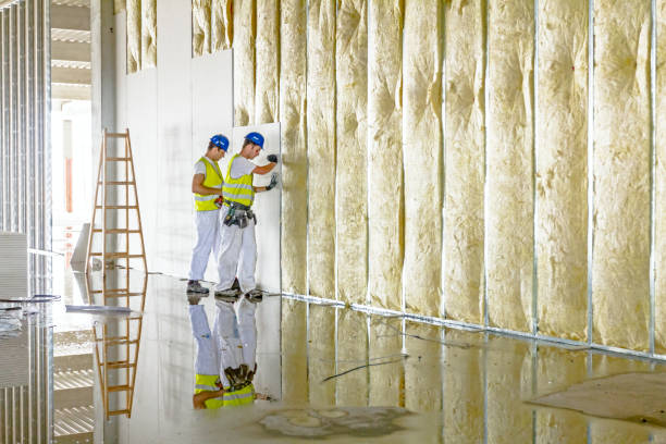 Best Commercial Insulation in Goose Creek Village, VA